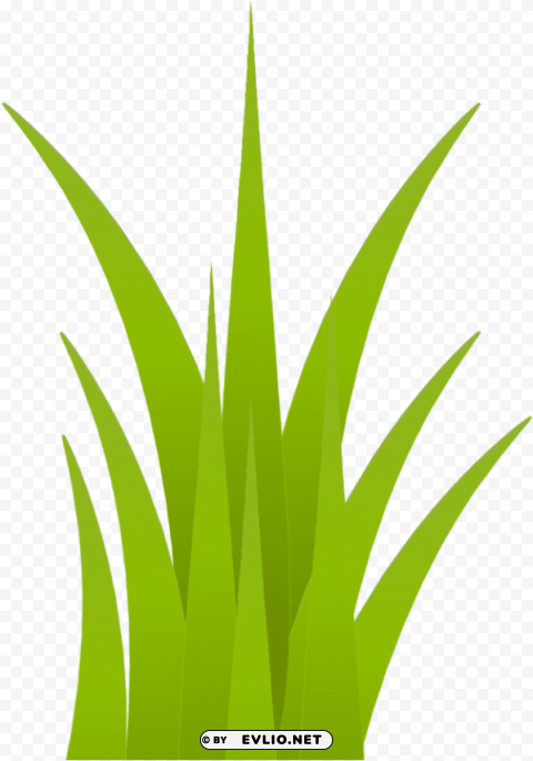 grass Isolated Design on Clear Transparent PNG PNG transparent with Clear Background ID c9d49f82