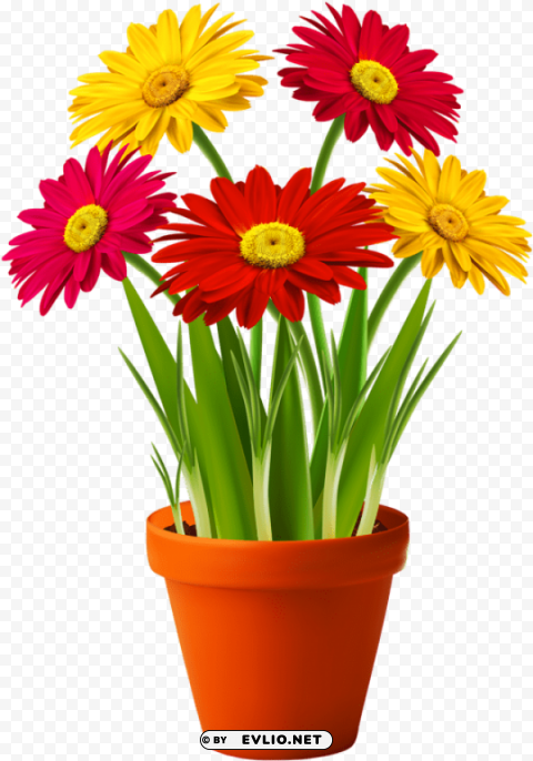 Flower With Pot PNG For Photoshop