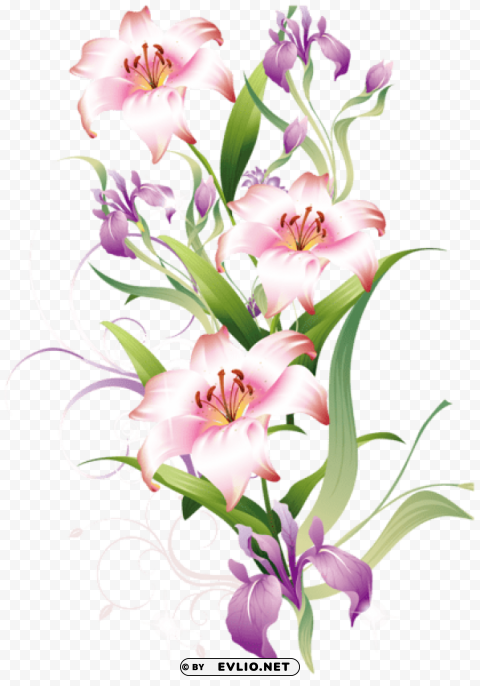 lilium decorationpicture PNG graphics with clear alpha channel collection