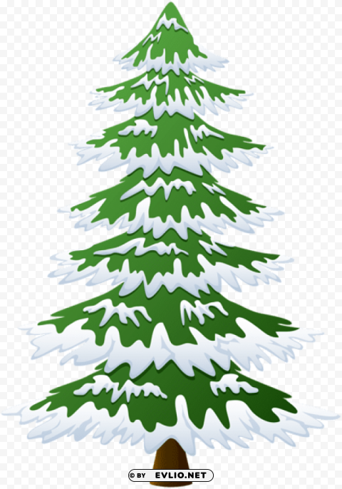 Snowy Pine Tree PNG For Photoshop