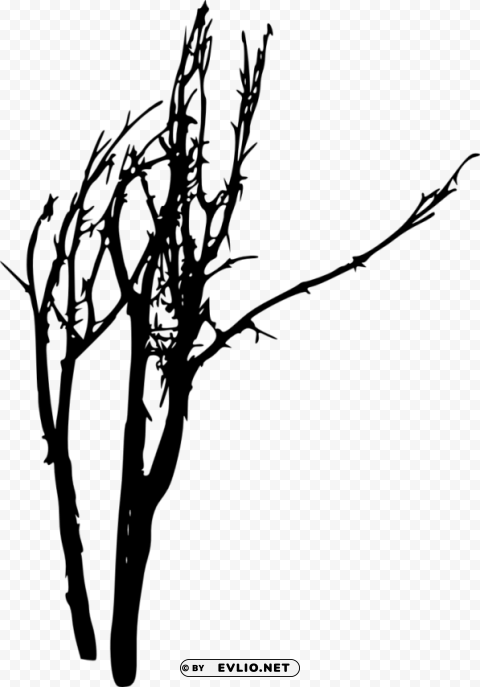 bare tree silhouette Isolated Design Element in HighQuality PNG