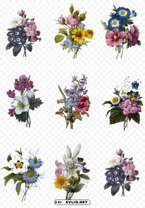 colorful flowers tattoo designs Transparent PNG graphics complete collection