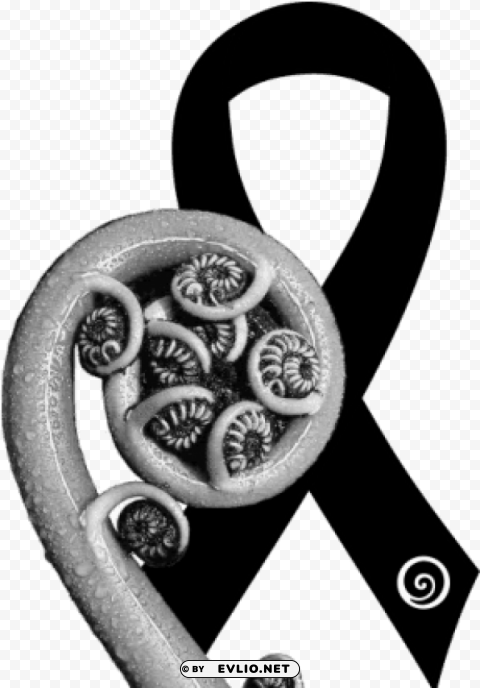 koru fern new zealand Transparent art PNG