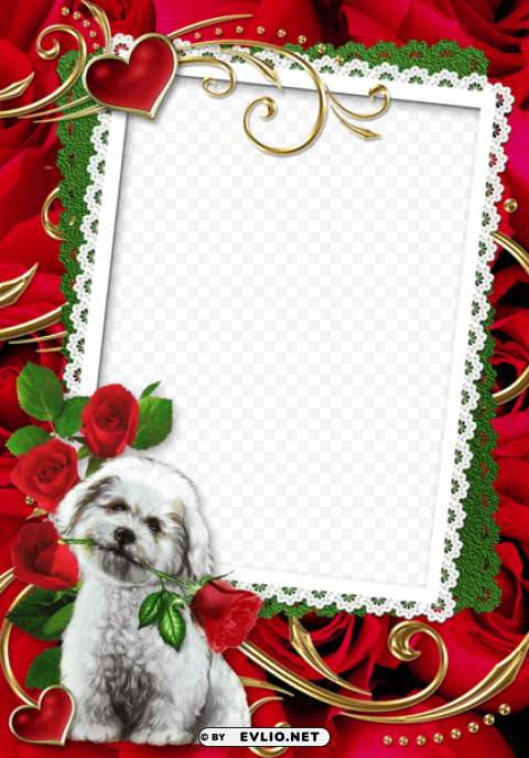 puppy with red roses transparent frame PNG photos with clear backgrounds