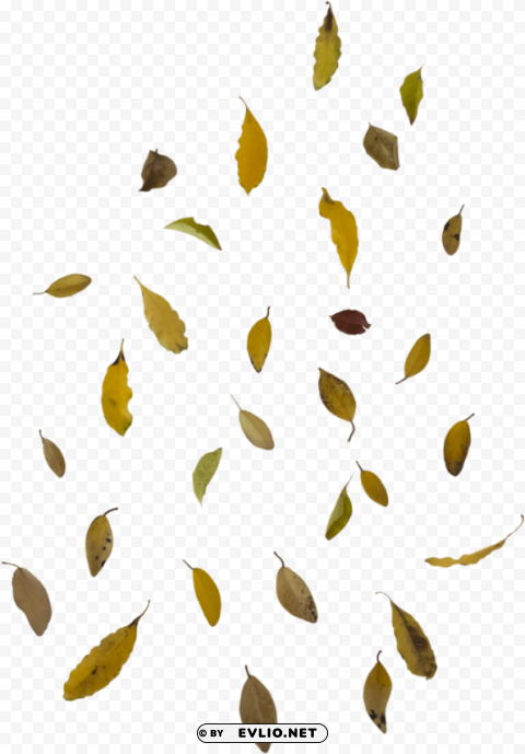 falling leaf overlay PNG free transparent PNG transparent with Clear Background ID cf5b20a5