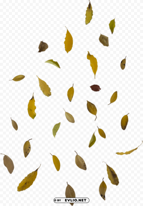 falling leaf overlay PNG free transparent