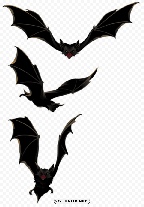 halloween bats PNG with clear background extensive compilation