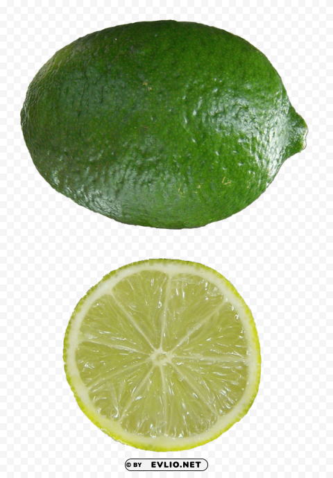 lime PNG for digital art PNG images with transparent backgrounds - Image ID 4e163327