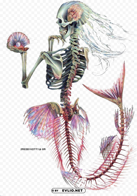 Mermaid Skeleton Tattoo Design Transparent PNG Graphics Bulk Assortment