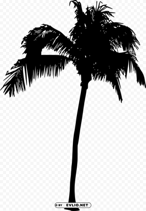 Palm Tree Silhouette Clean Background Isolated PNG Illustration