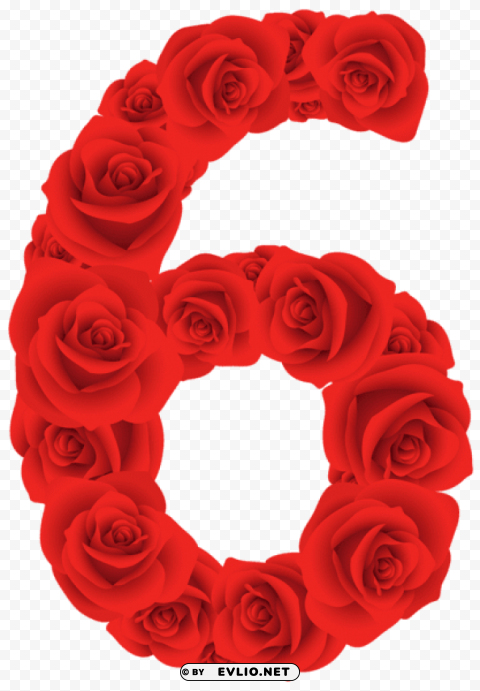 red roses number six PNG pictures with no background required