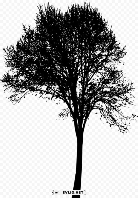 tree silhouette HighQuality Transparent PNG Object Isolation