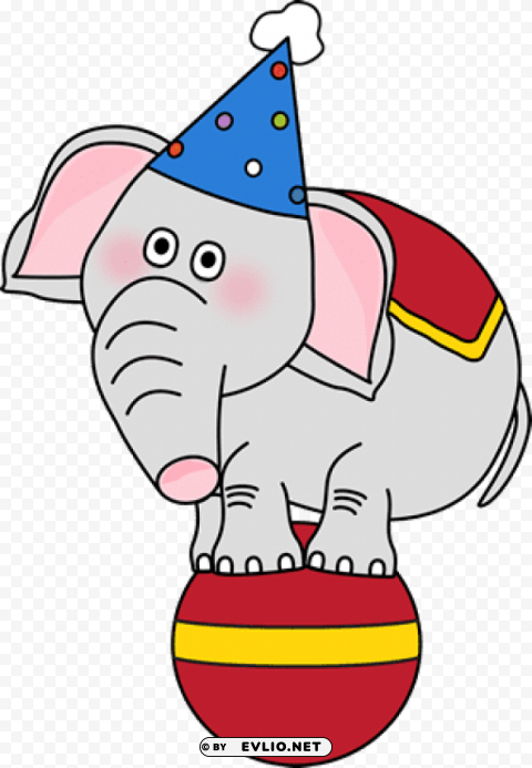 elephant on a ball Clear PNG pictures free