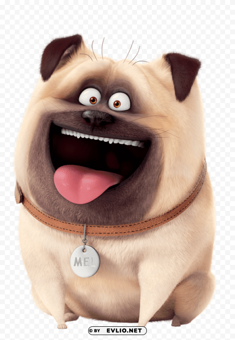 the secret life of pets mel Transparent Background PNG Isolated Character