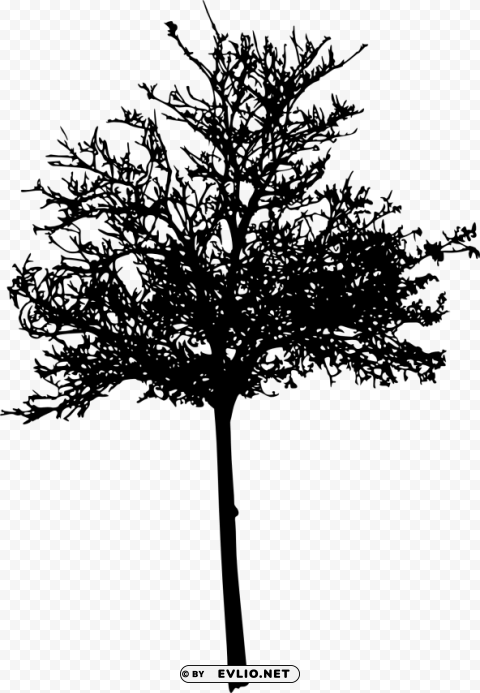 tree silhouette PNG artwork with transparency