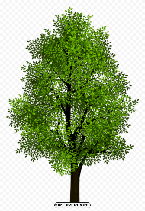 green tree transparentpicture PNG file without watermark