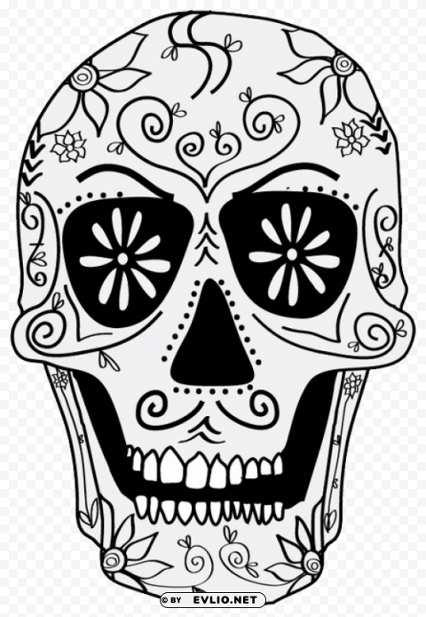 skulls PNG Image with Isolated Transparency
