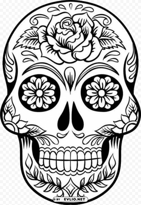 skulls PNG image with no background