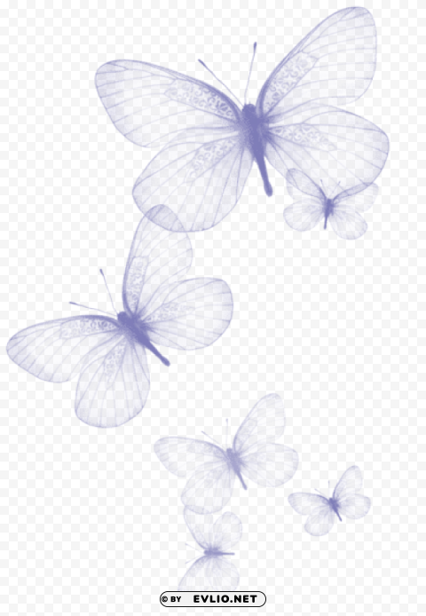 transparent butterflypicture Free PNG images with alpha channel clipart png photo - d4a98b3b