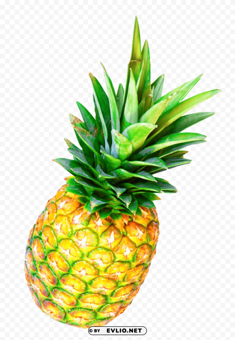 pineapple Isolated Item on HighResolution Transparent PNG