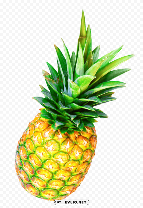 Pineapple Isolated Item On HighResolution Transparent PNG