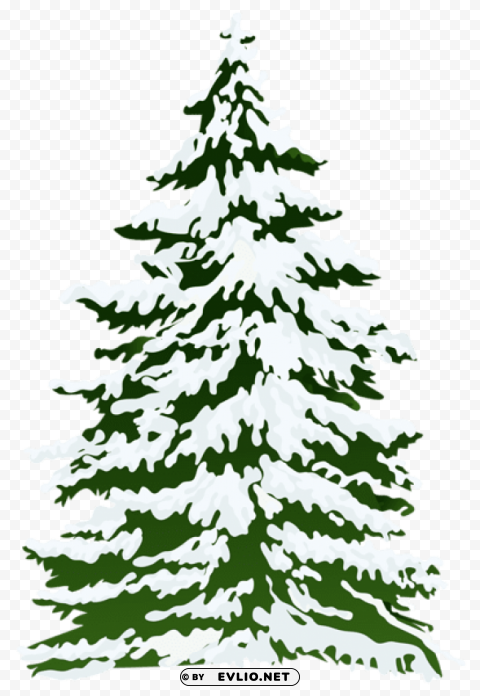 winter snowy pine tree PNG artwork with transparency