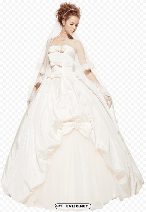 beatiful bride Transparent Background Isolation in PNG Format