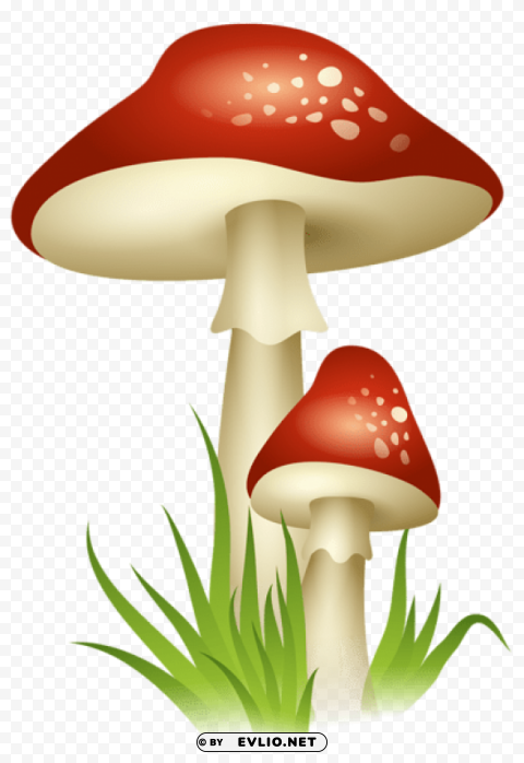 mushroomspicture Isolated Element with Clear PNG Background