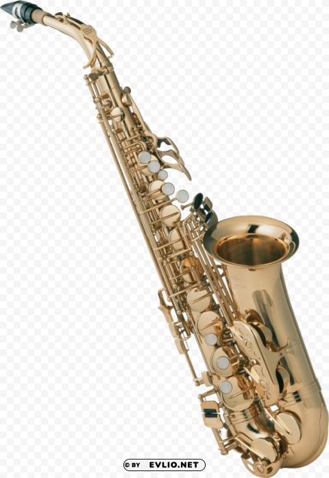 saxophone Isolated Character with Transparent Background PNG