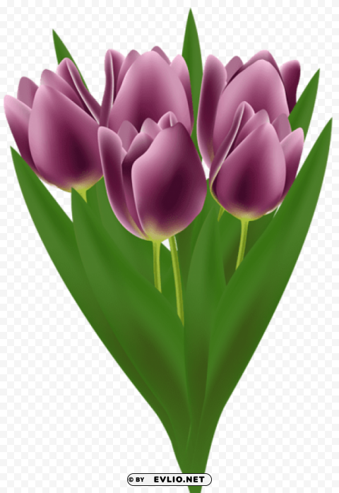 tulips bouquet High-resolution transparent PNG images variety