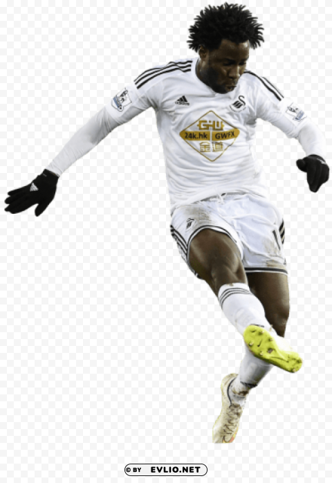 Download wilfried bony Clear background PNG clip arts png images background ID e177ea13