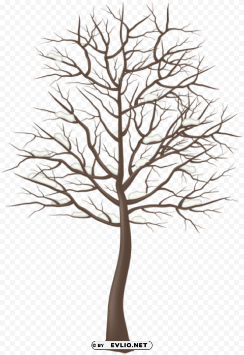 winter snowy tree Isolated PNG on Transparent Background