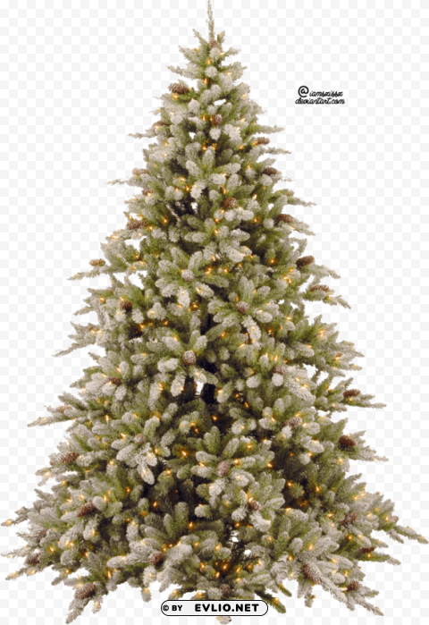 Christmas Tree PNG Cutout