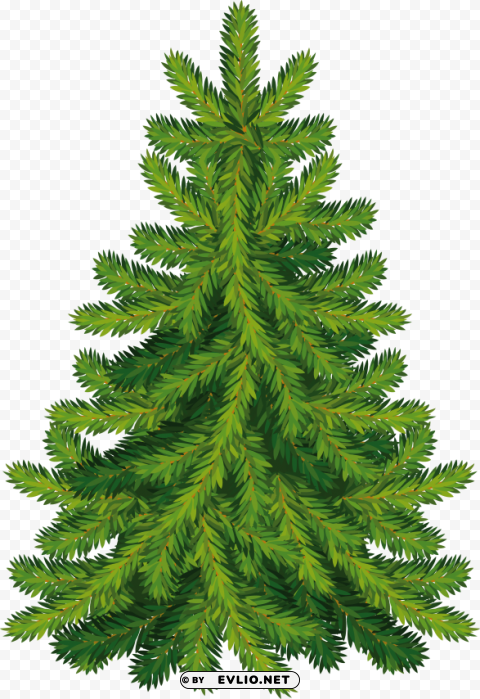 fir tree Isolated Object with Transparency in PNG