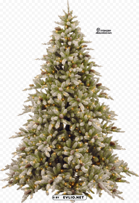 fir-tree pic PNG transparent elements complete package