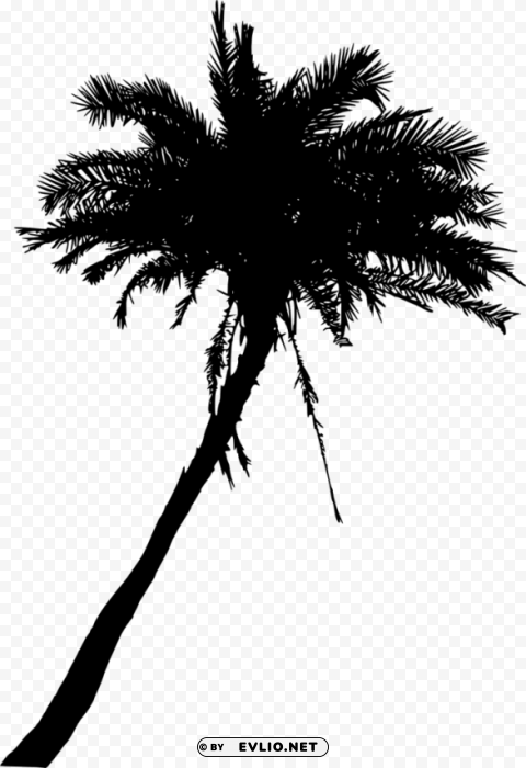 Palm Tree Silhouette Clean Background Isolated PNG Image