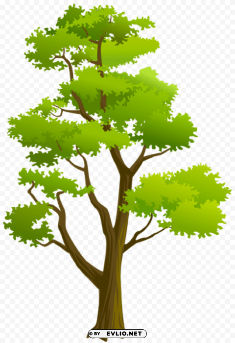 tree PNG Image with Transparent Background Isolation