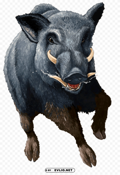 boar Isolated Graphic on Clear PNG