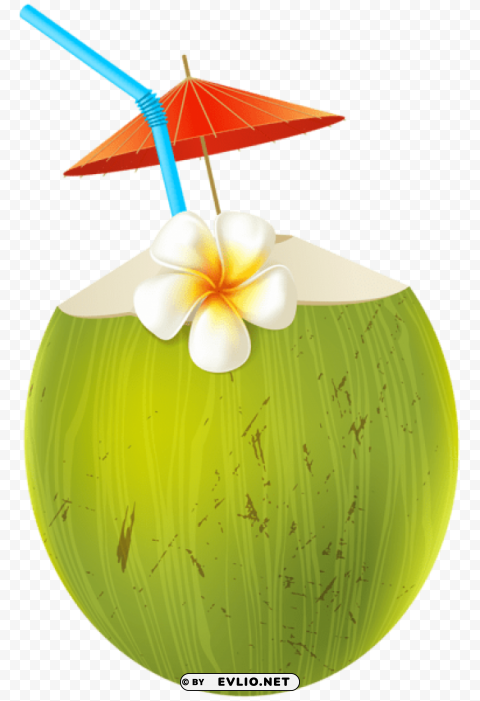 coconut coctail transparent PNG images with no background comprehensive set