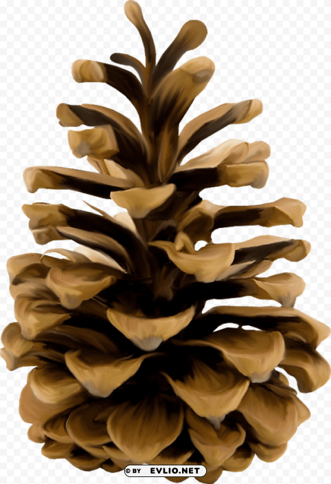pine cone Transparent PNG Isolated Element