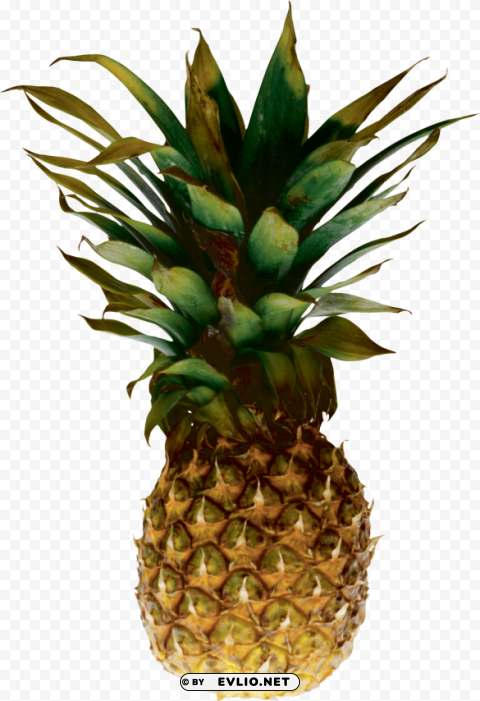 pineapple PNG images with alpha background