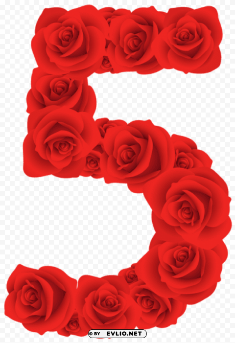 red roses number five PNG photo without watermark
