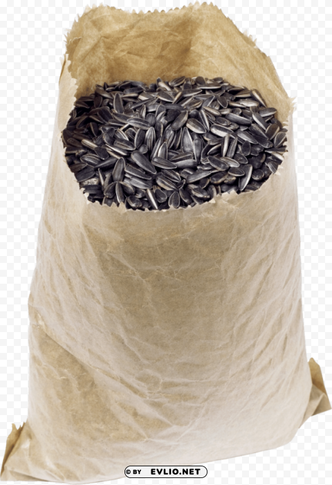 sunflower seeds PNG files with clear background