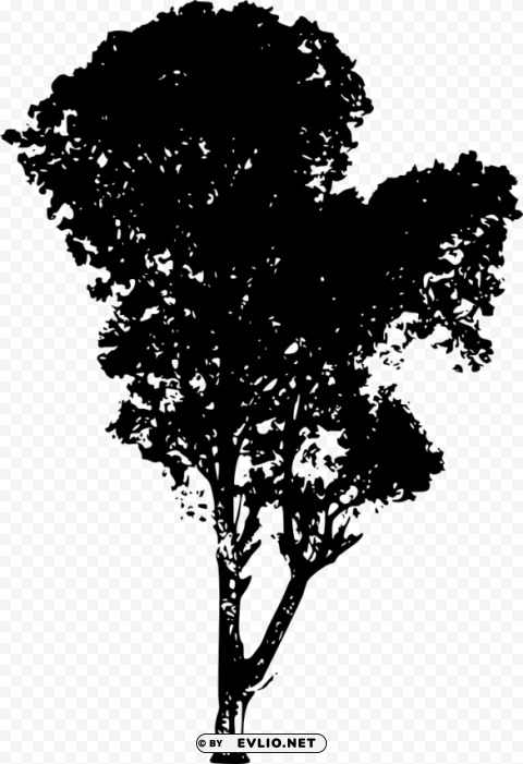 tree silhouette PNG graphics for presentations