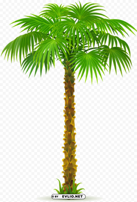 Date Tree PNG Images With Transparent Space