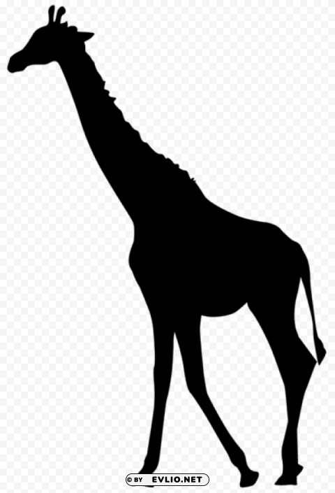 giraffe silhouette PNG with clear background set
