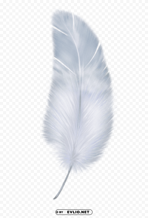 feather PNG with transparent background for free png images background - Image ID 9b8d8cbb