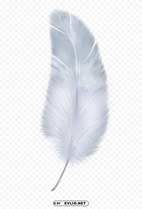 feather Transparent Background Isolated PNG Item