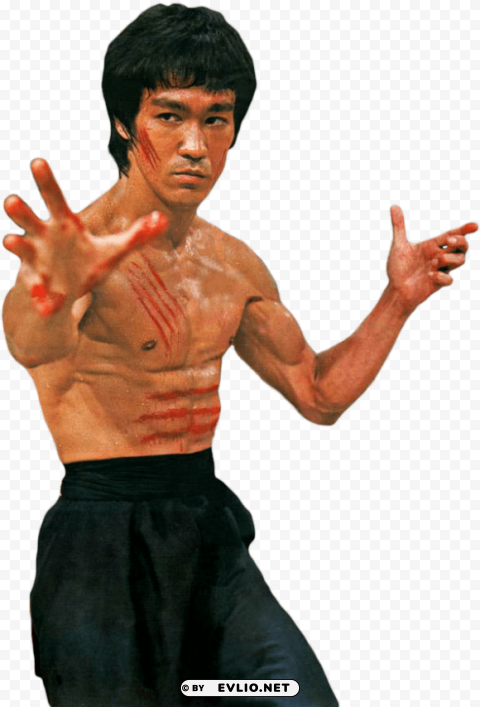 bruce lee PNG images with no background assortment