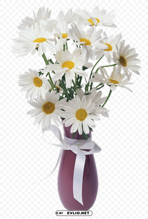 daisies vase bouquet Transparent Background PNG Isolated Pattern